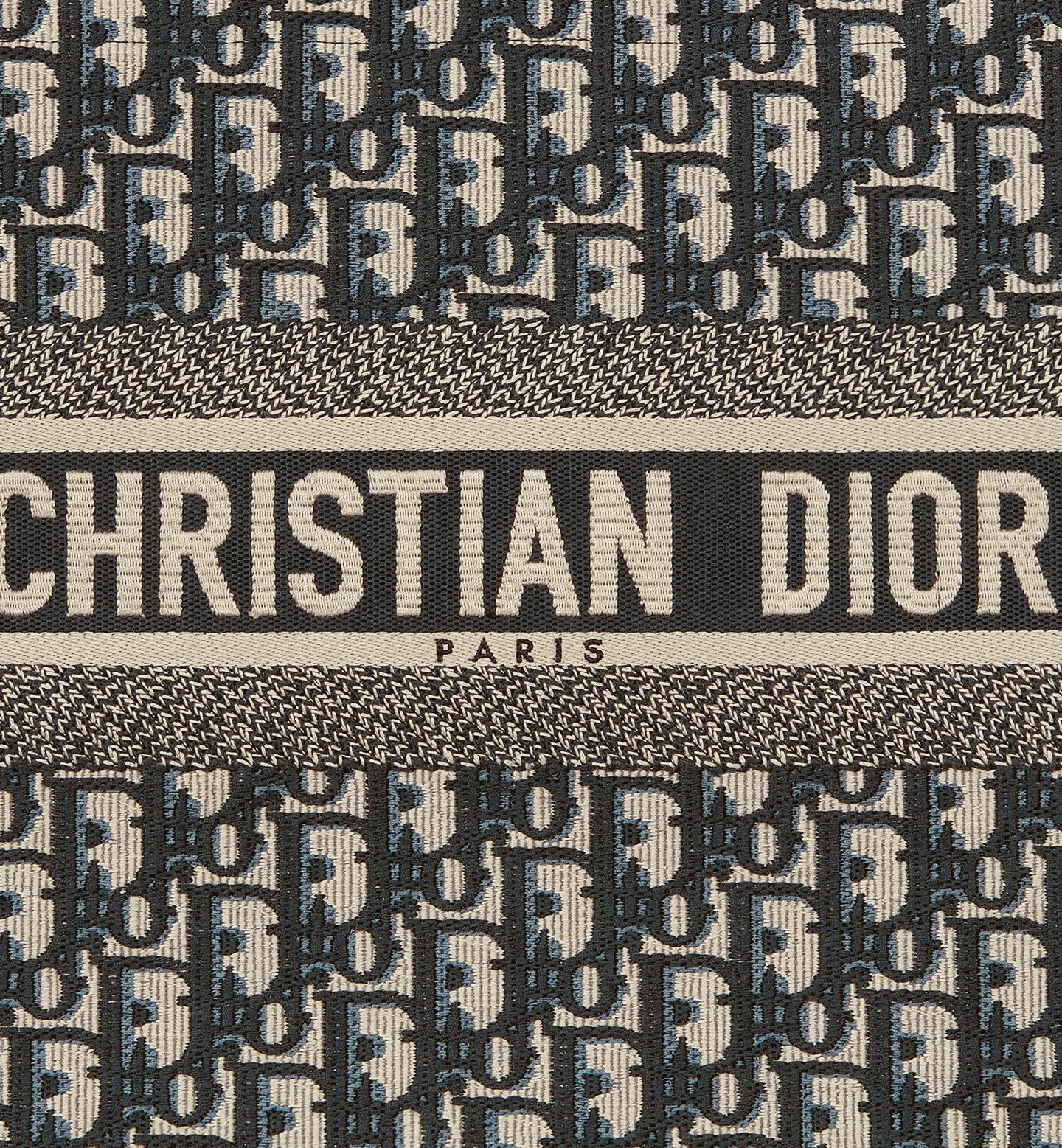 Medium Dior Book Tote 2025