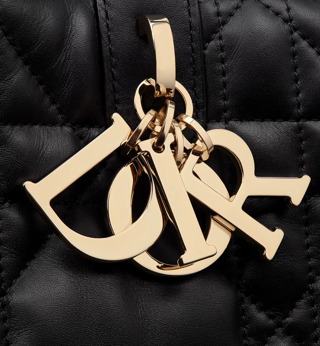 Dior Large Dior Toujours Bag 2025