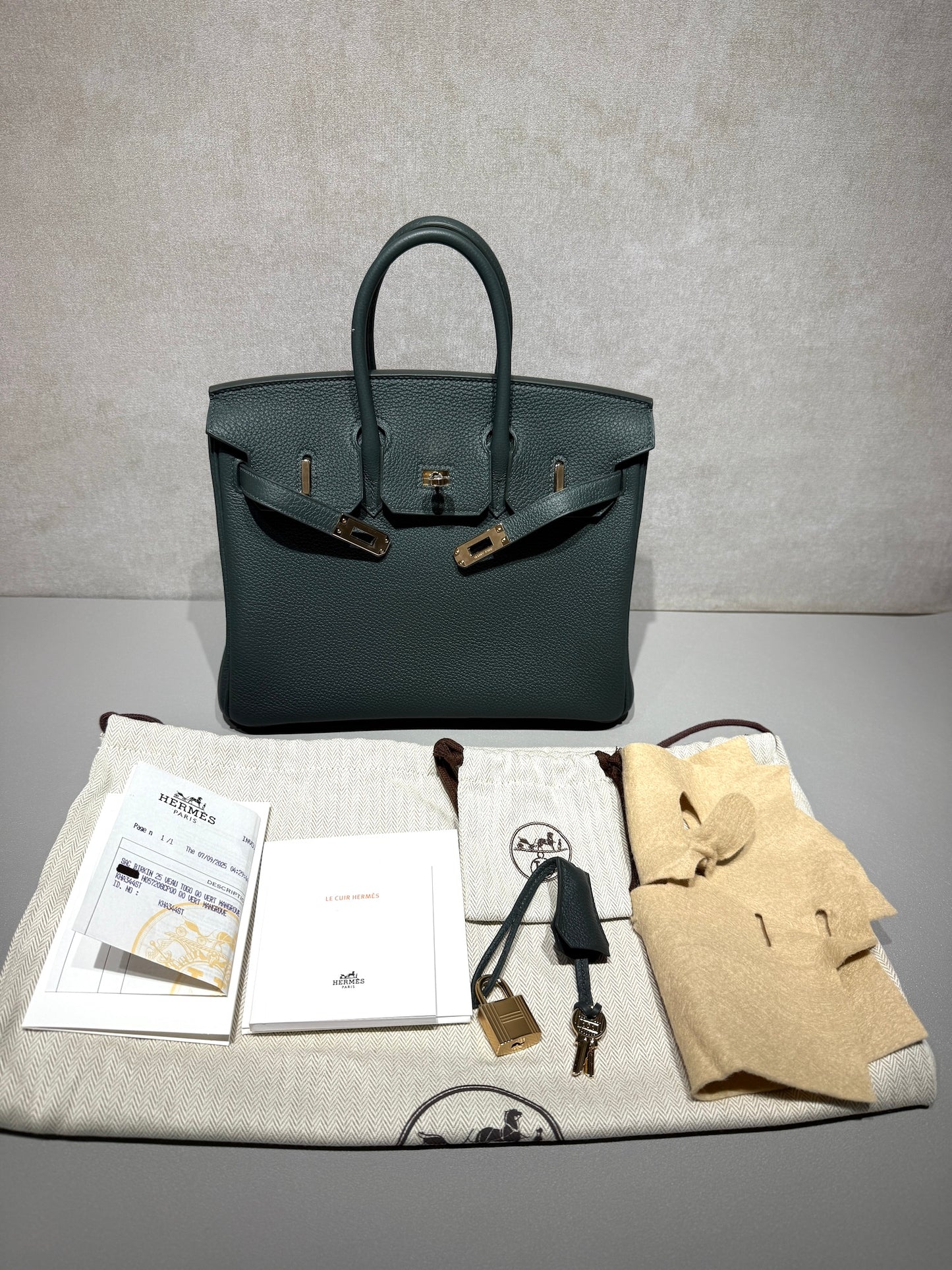 HERMÈS Birkin 25 Vert Mangrove (Q0) Togo Permabrass hardware K (2025)