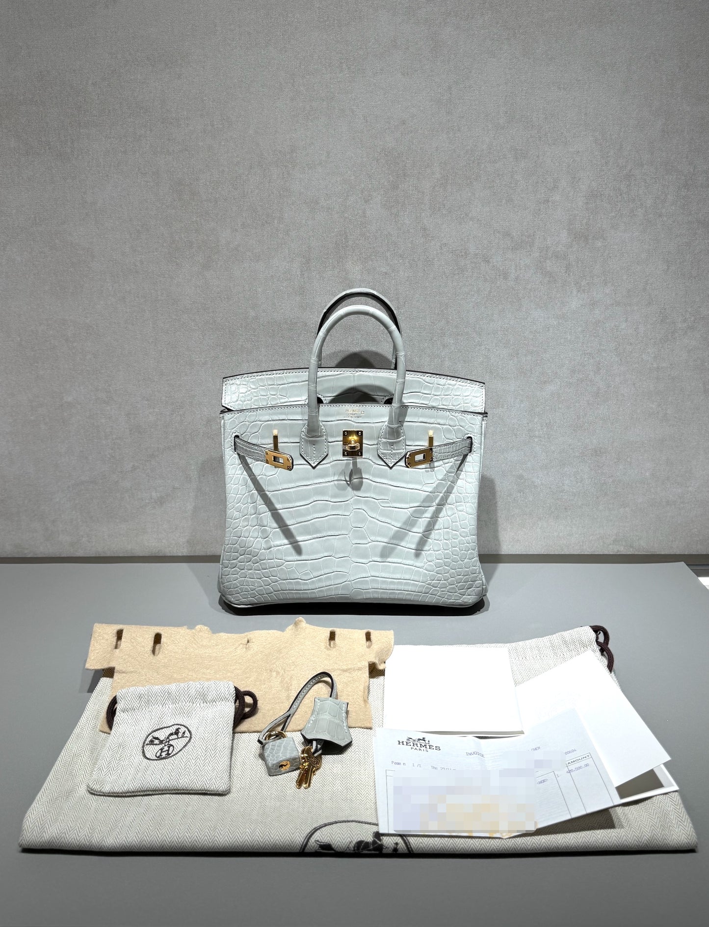 HERMÈS Birkin 25 Gris Neve (0W) Matte Alligator Gold hardware K (2025)