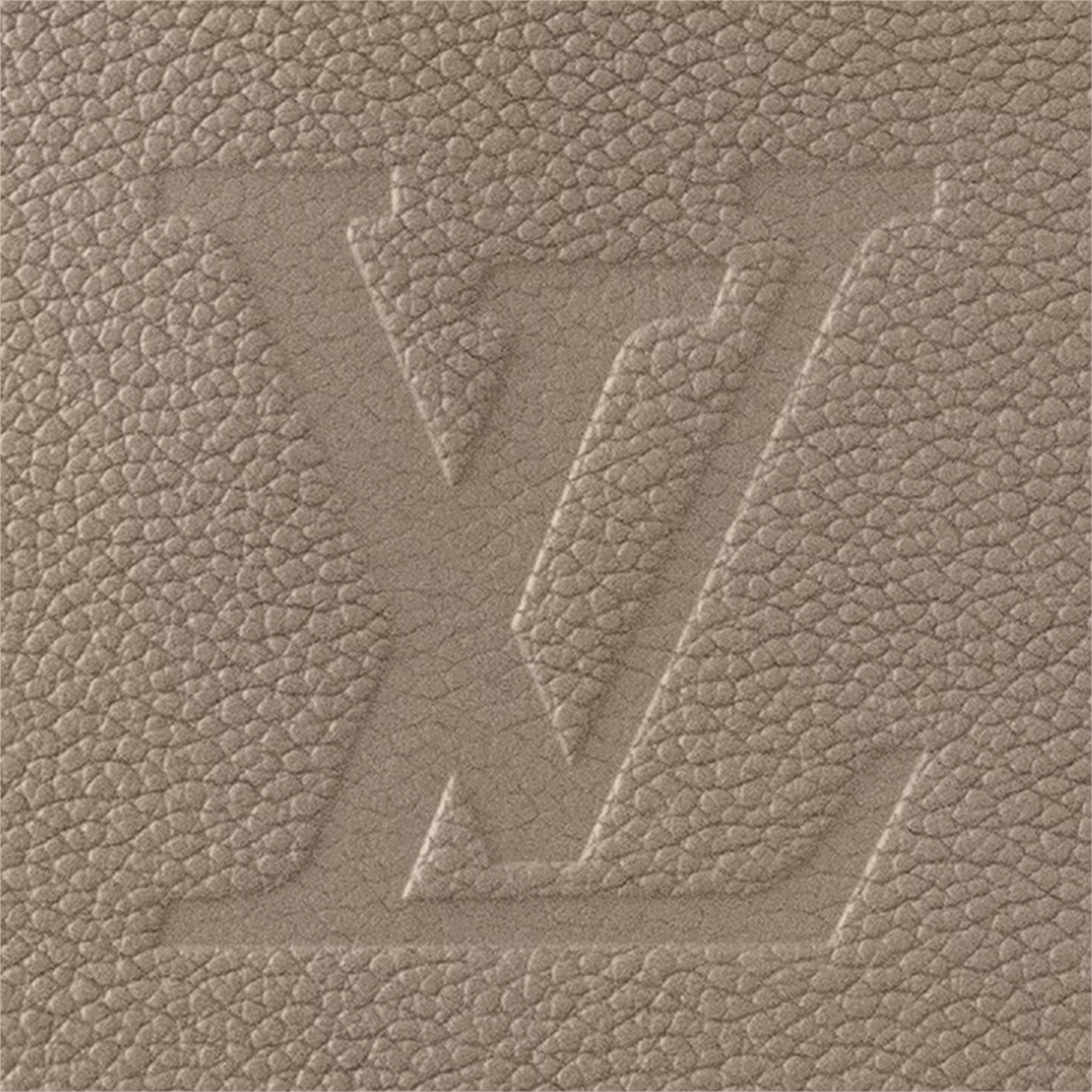 Louis Vuitton Neverfull MM Tote Bag (2025)