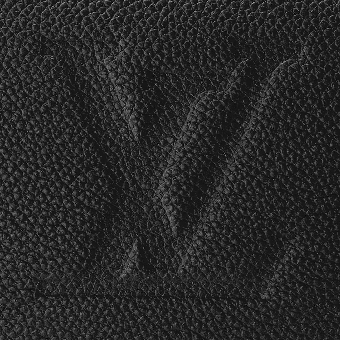 Louis Vuitton Speedy Bandoulière 25 Bag (2025)
