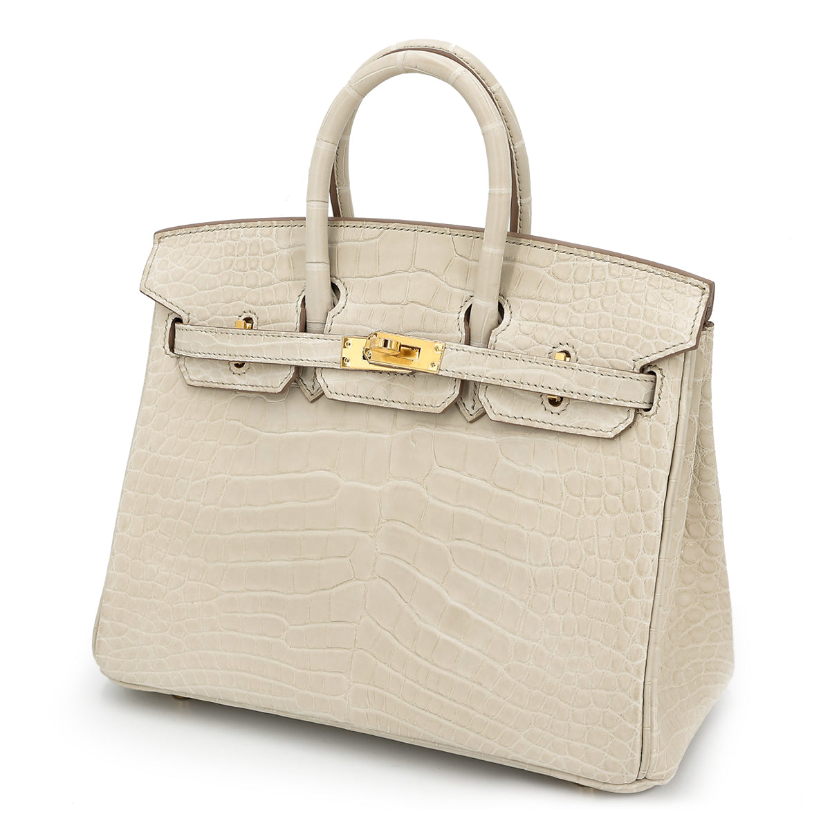 HERMES Birkin 25 bag (2022)