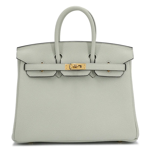 HERMÈS Birkin 25 handbag (2023)