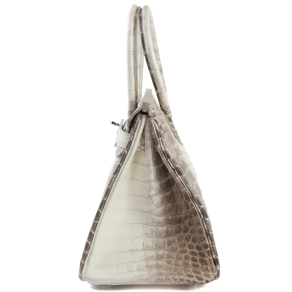 HERMÈS Limited Edition Birkin 30 Himalaya Matte Niloticus Crocodile Palladium hardware X (2016)