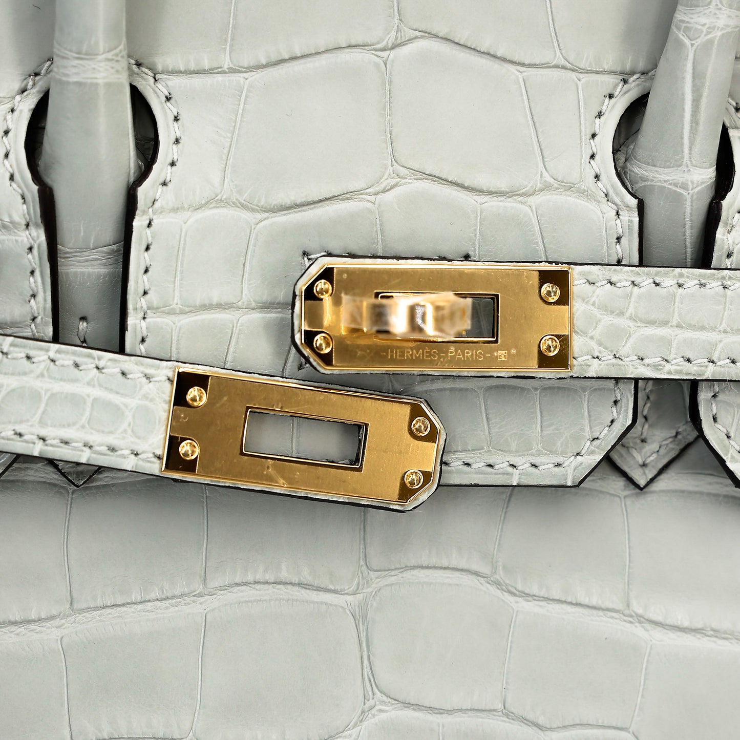 HERMÈS Birkin 25 Gris Neve (0W) Matte Alligator Gold hardware K (2025)