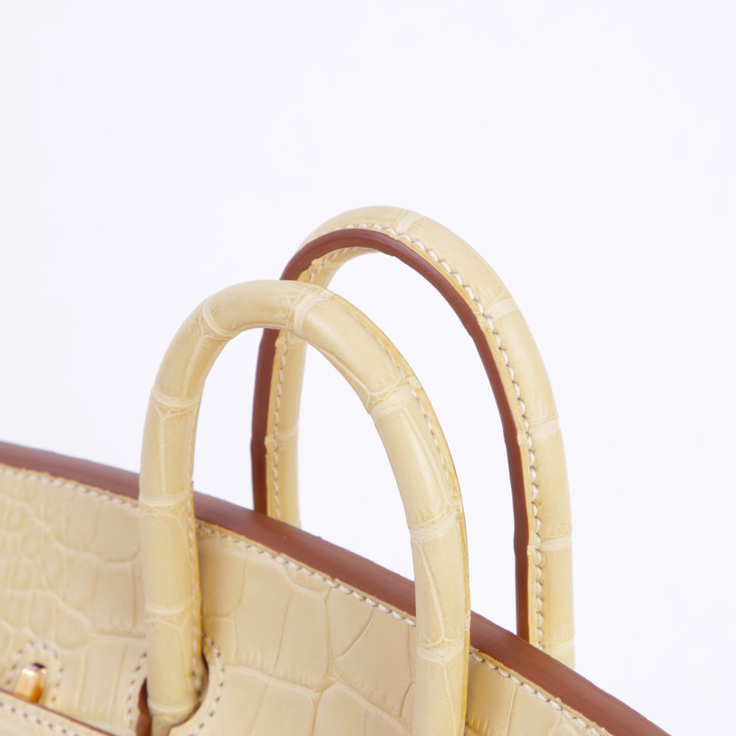 HERMÈS Birkin 20 Vanille Matte Alligator Gold hardware W (2024)
