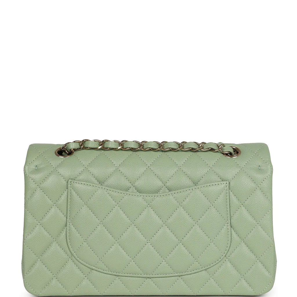 Chanel Medium Classic Double Flap Bag Light Green Caviar Light Gold Hardware