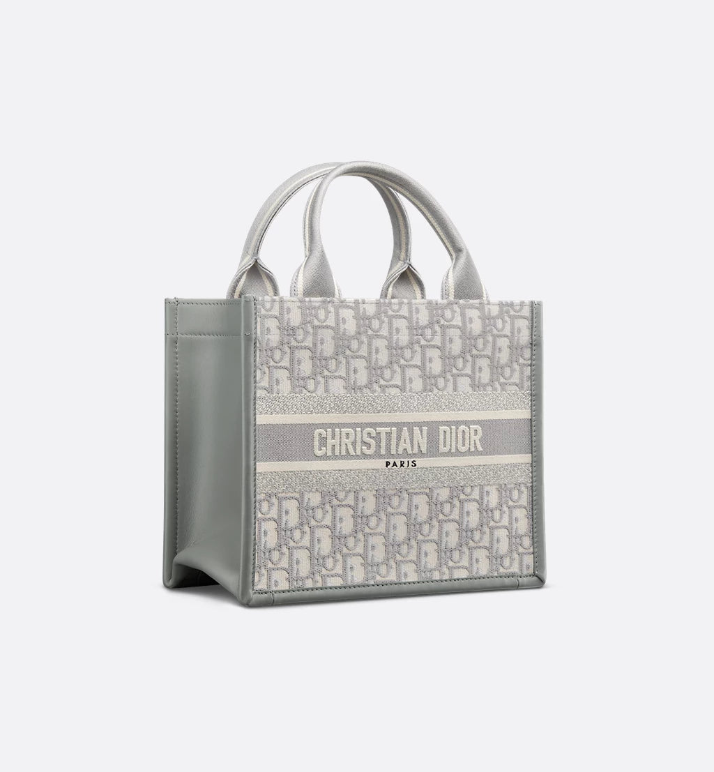 Small Dior Book Tote 2025