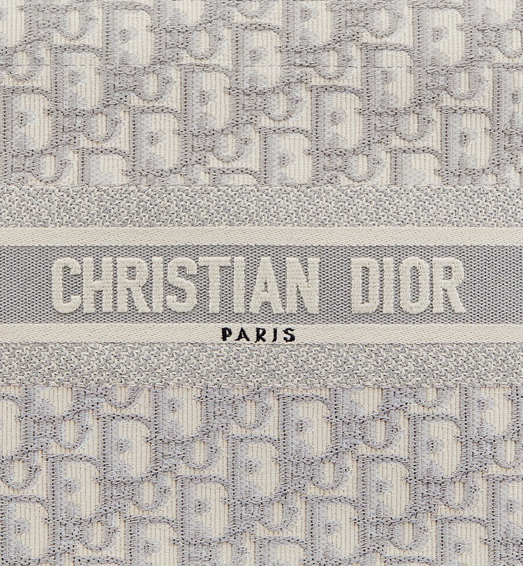 Small Dior Book Tote 2025