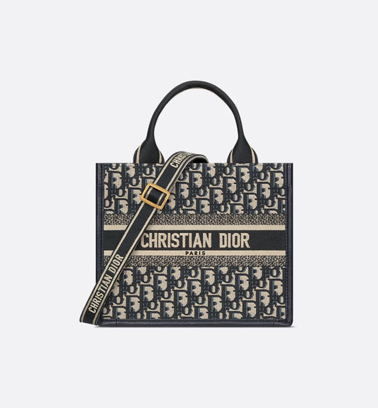 Small Dior Book Tote 2025