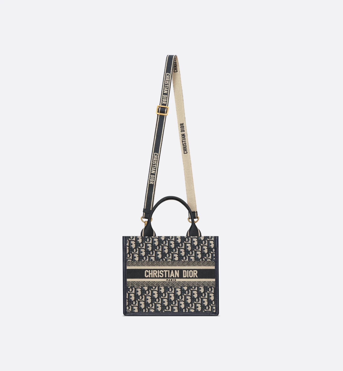 Small Dior Book Tote 2025