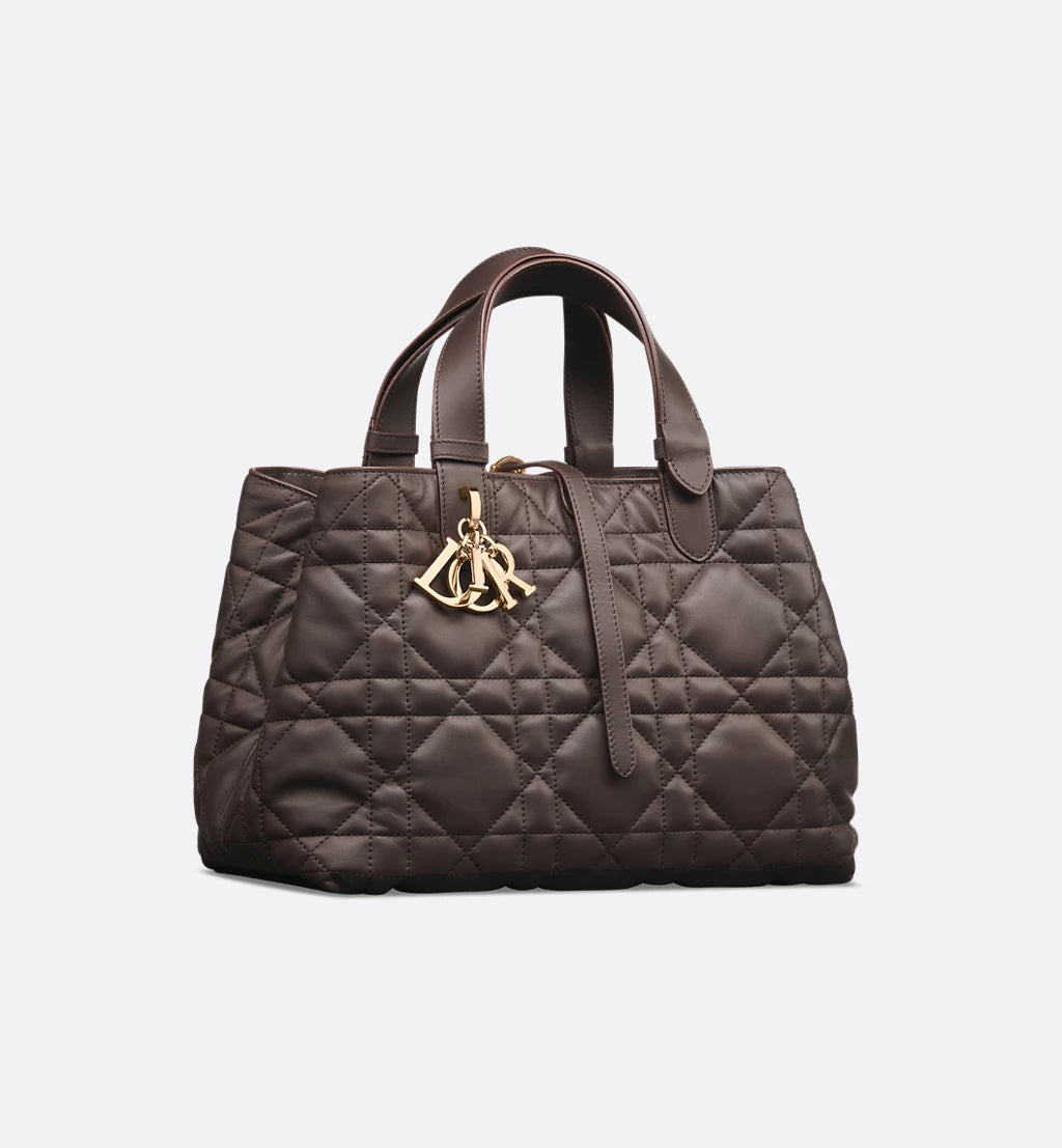 Medium Dior Toujours Bag 2025