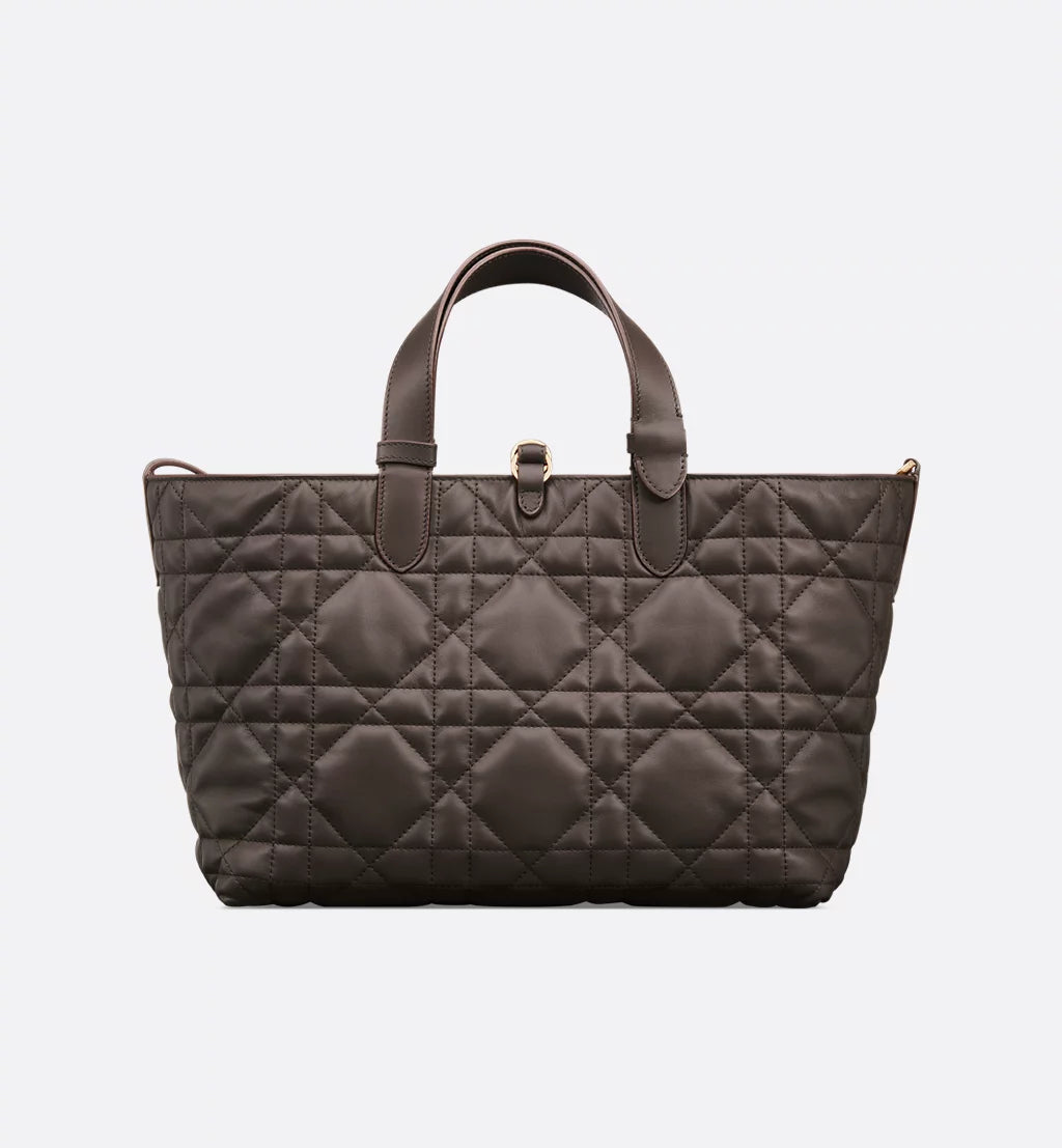 Medium Dior Toujours Bag 2025