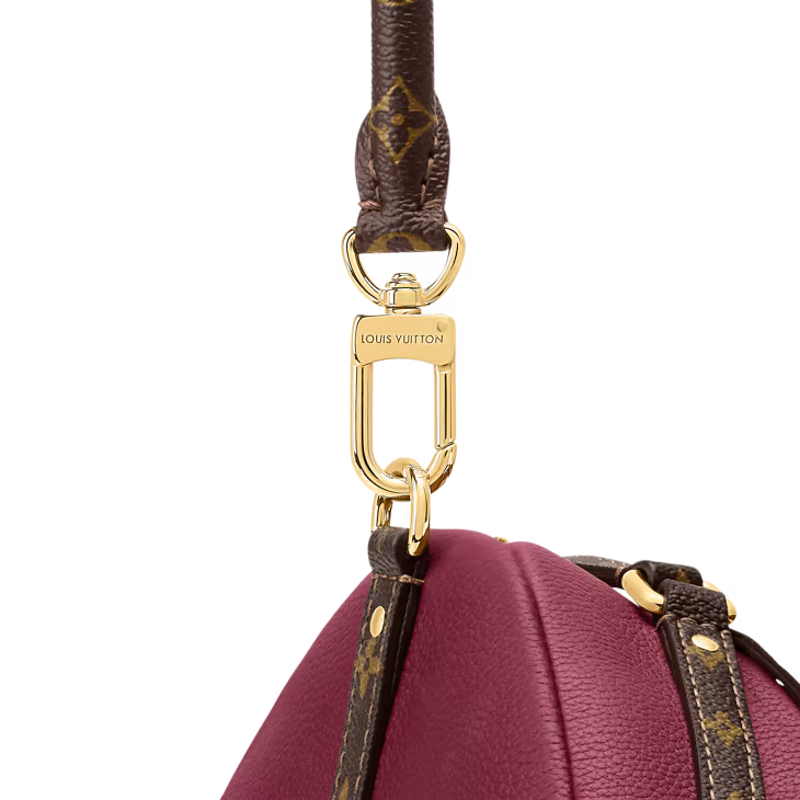 Louis Vuitton Express MM (2025)