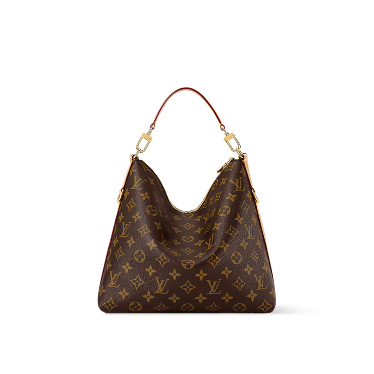 Louis Vuitton Multipass Bag (2025)
