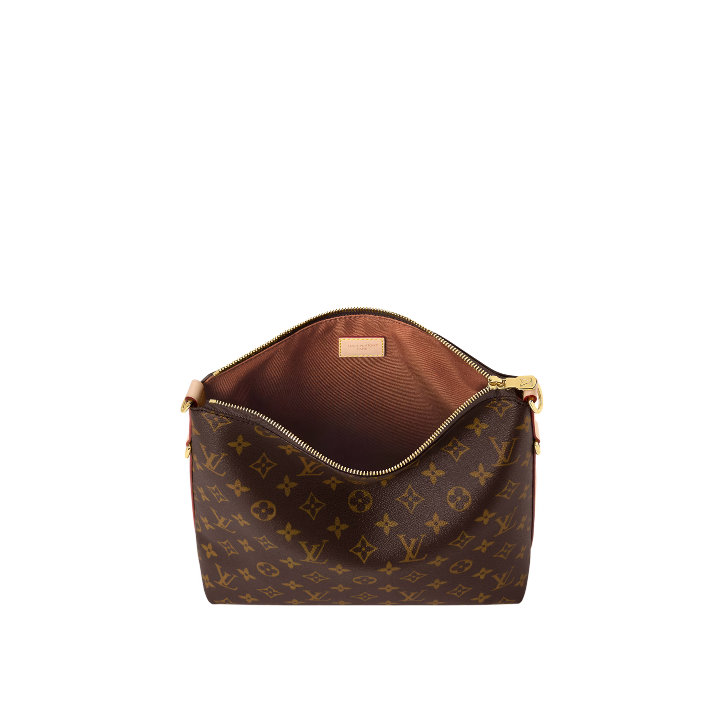 Louis Vuitton Multipass Bag (2025)