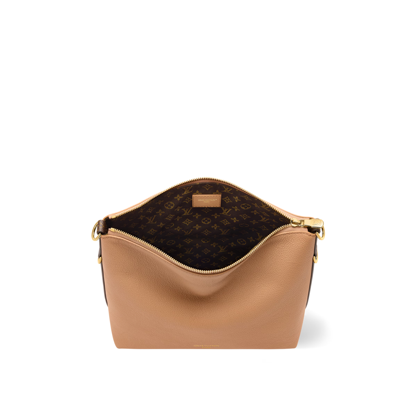 Louis Vuitton Multipass Bag (2025)