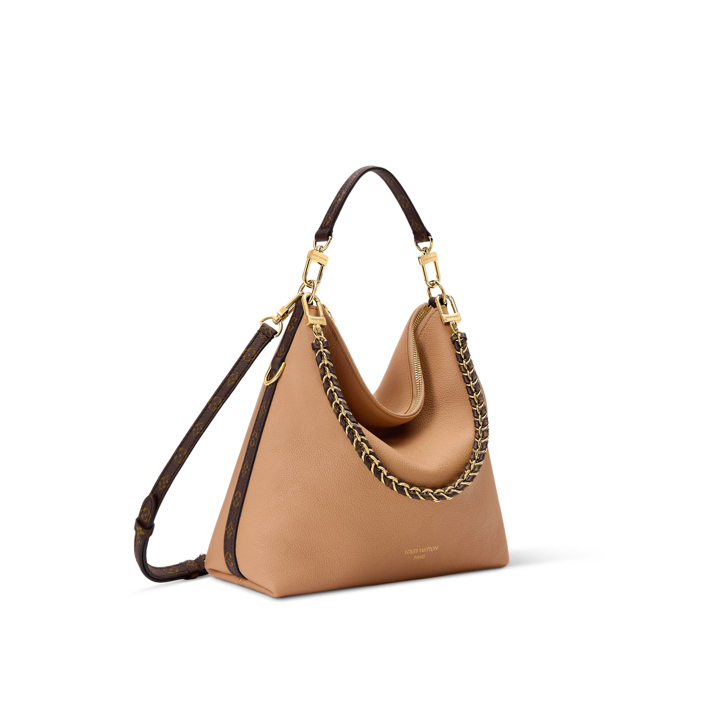 Louis Vuitton Multipass Bag (2025)