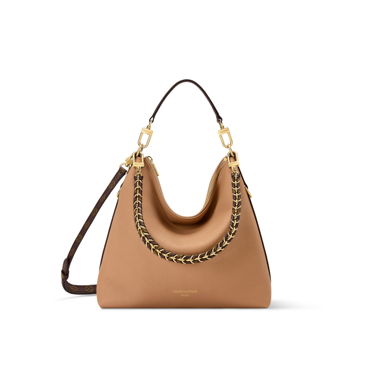 Louis Vuitton Multipass Bag (2025)