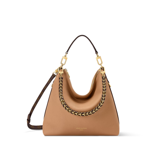 Louis Vuitton Multipass Bag (2025)