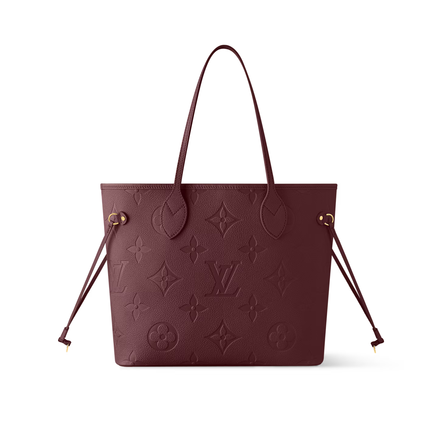 Louis Vuitton Neverfull MM Tote Bag (2025)