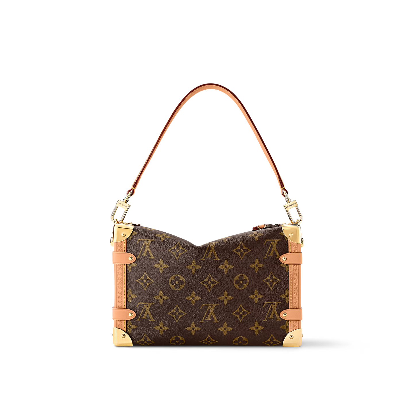 Louis Vuitton Side Trunk MM Bag (2025)