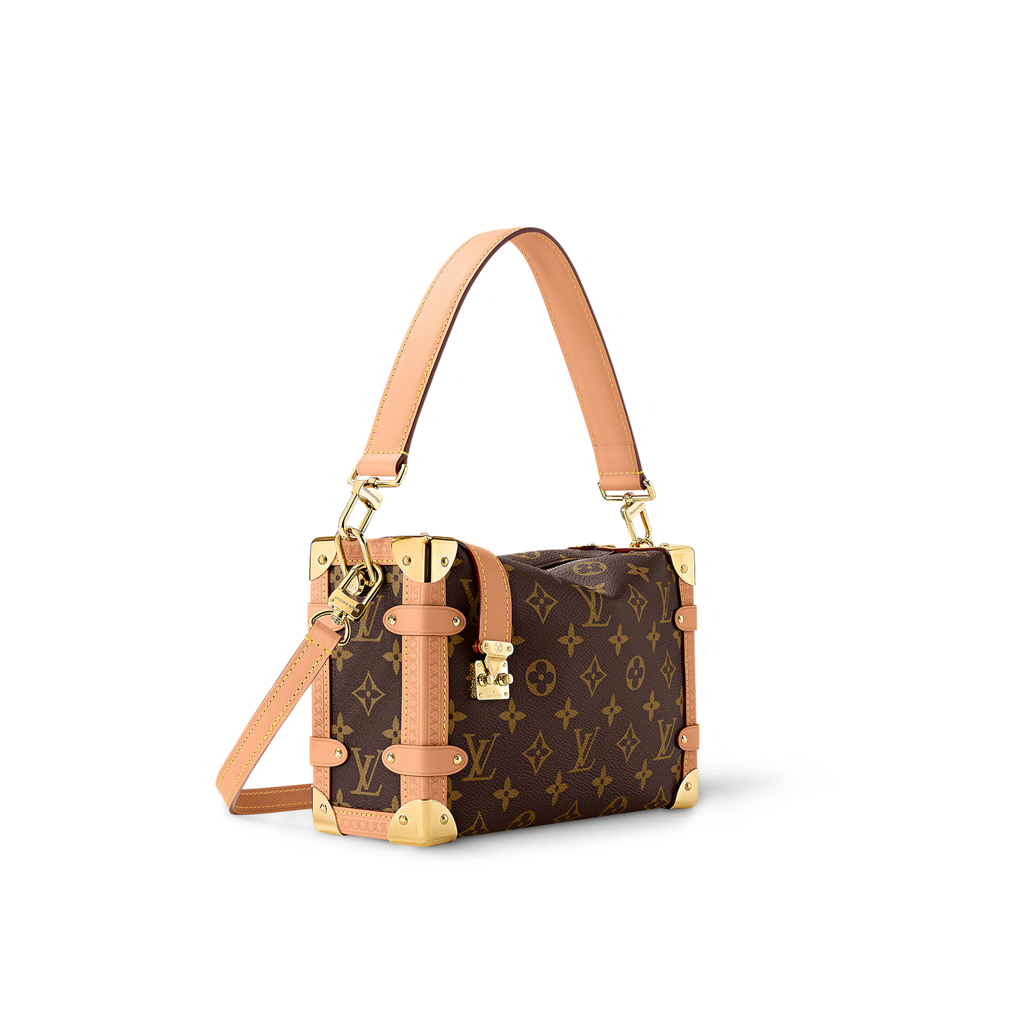 Louis Vuitton Side Trunk MM Bag (2025)
