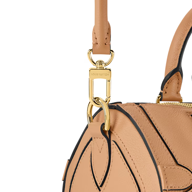 Louis Vuitton Speedy 25 Silhouette (2025)