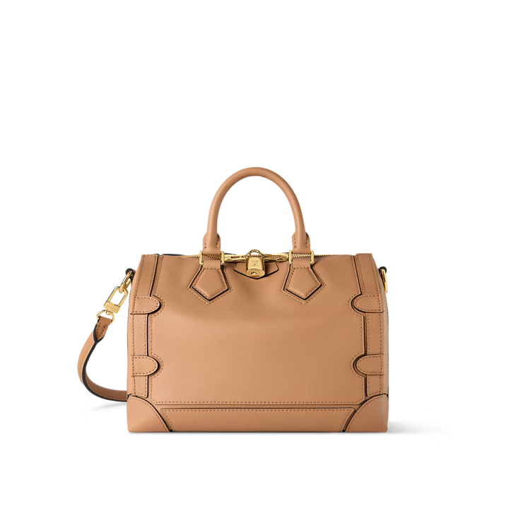 Louis Vuitton Speedy 25 Silhouette (2025)