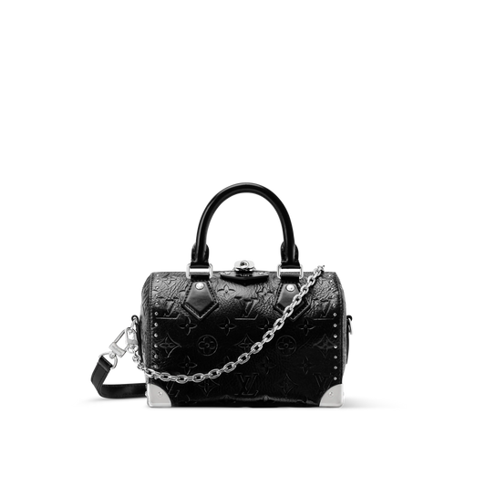 Louis Vuitton Speedy Trunk 20 (2025)